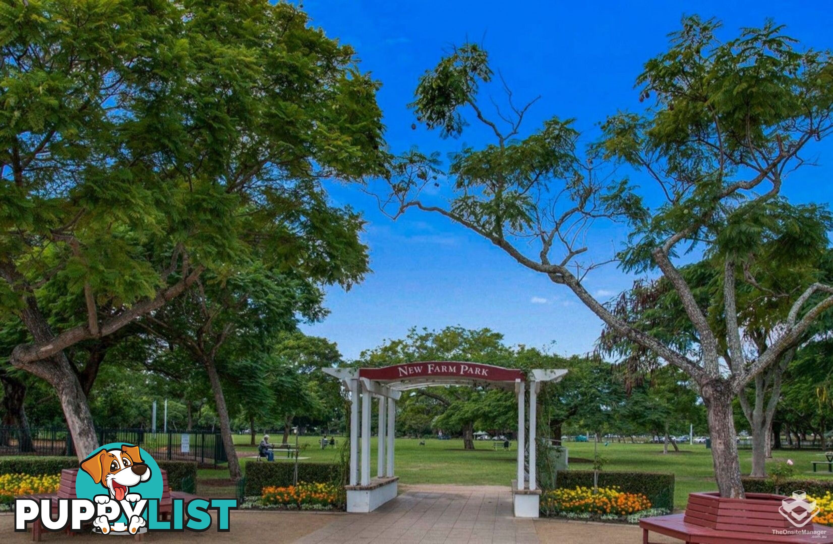 ID:21156892 79 Moray Street New Farm QLD 4005