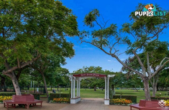 ID:21156892 79 Moray Street New Farm QLD 4005