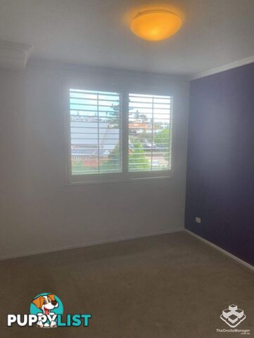 ID:21147051 62 Cordelia Street South Brisbane QLD 4101