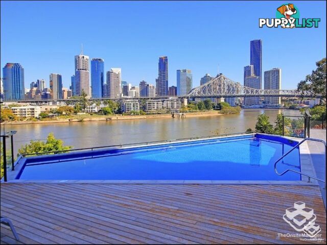 ID:21158037 79 Moray Street New Farm QLD 4005