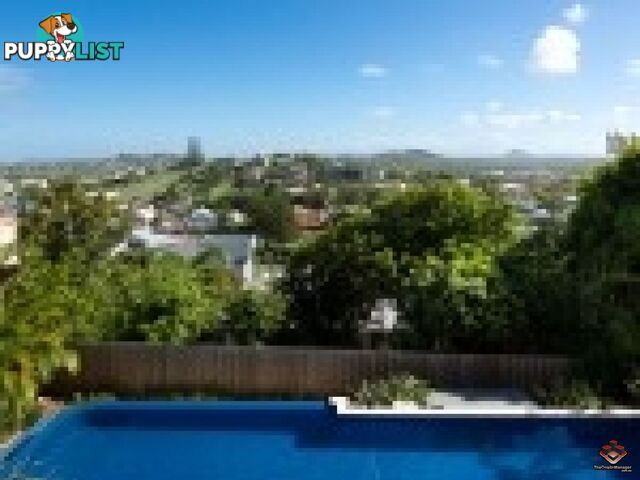 ID:3888097/20-24 Cliff Street Yeppoon QLD 4703