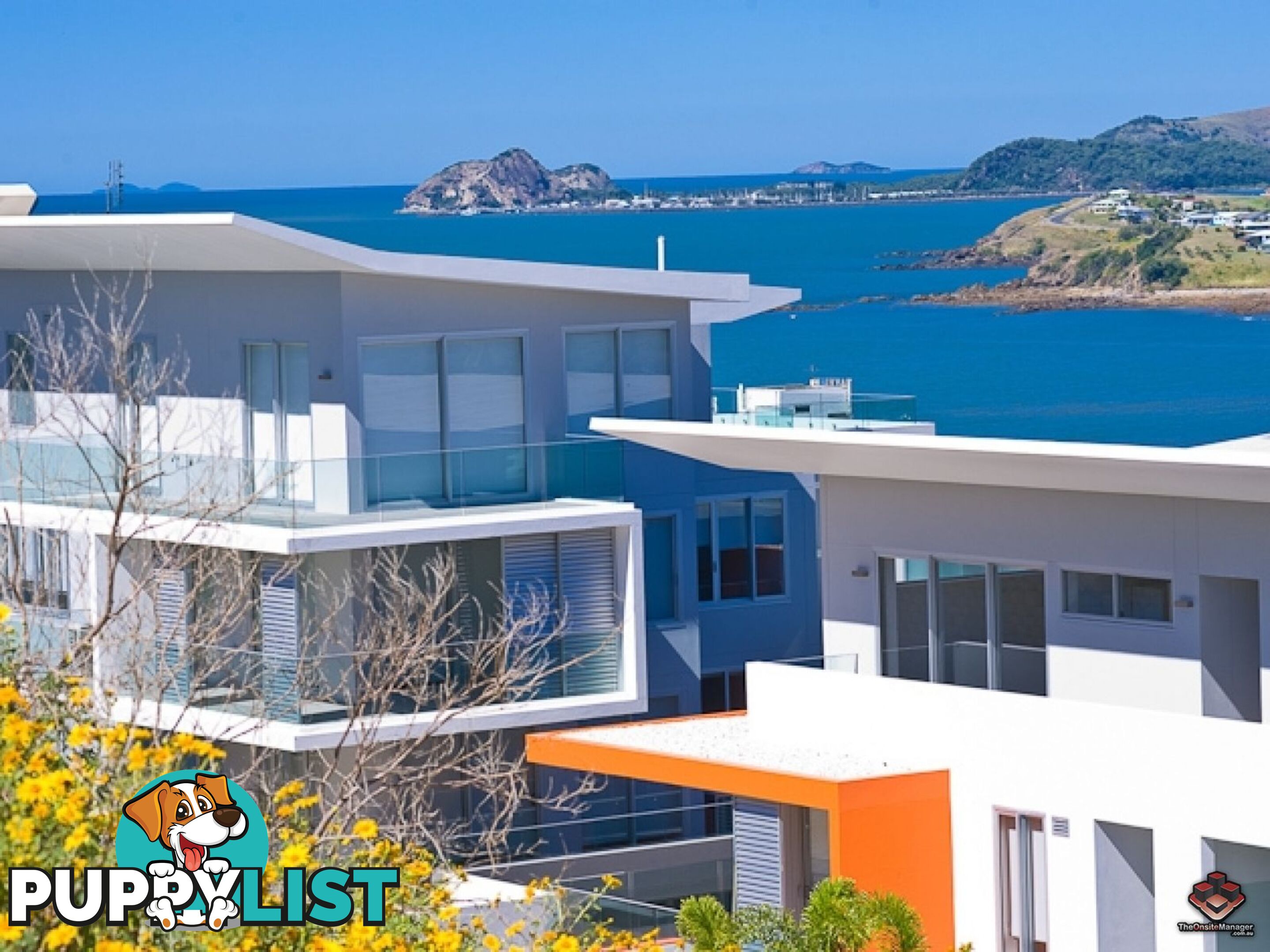 ID:3888097/20-24 Cliff Street Yeppoon QLD 4703