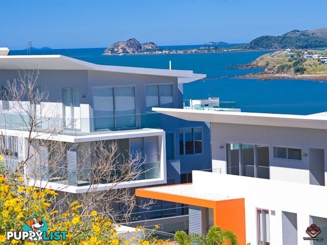 ID:3888097/20-24 Cliff Street Yeppoon QLD 4703