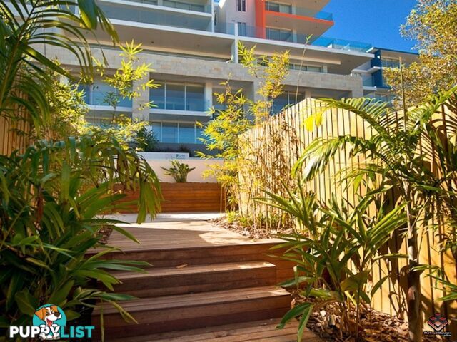 ID:3888097/20-24 Cliff Street Yeppoon QLD 4703