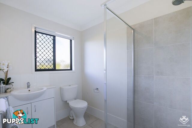 ID:21156761 47 Freshwater Street Thornlands QLD 4164
