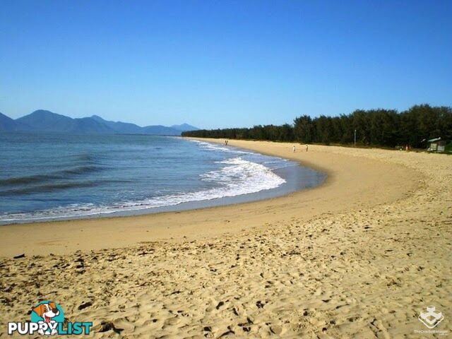 ID:21147693 521-525 Varley Street Yorkeys Knob QLD 4878