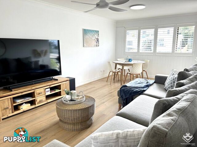 ID:21153110 23 Marjorie Street Mooloolaba QLD 4557