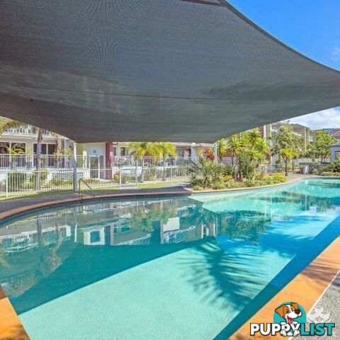ID:21154686 33 Clark Street Biggera Waters QLD 4216