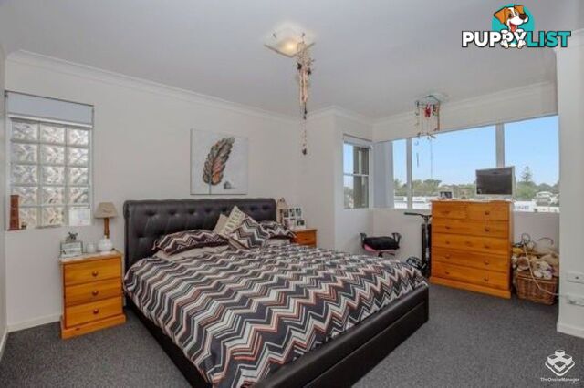 ID:21154686 33 Clark Street Biggera Waters QLD 4216