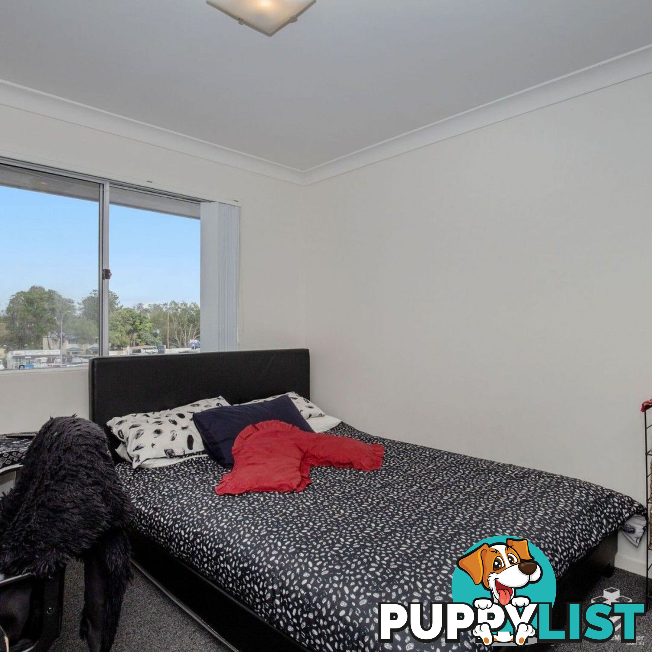 ID:21154686 33 Clark Street Biggera Waters QLD 4216