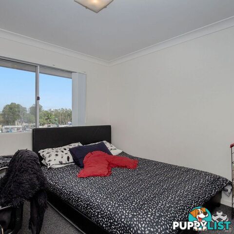 ID:21154686 33 Clark Street Biggera Waters QLD 4216