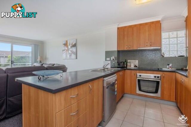 ID:21154686 33 Clark Street Biggera Waters QLD 4216