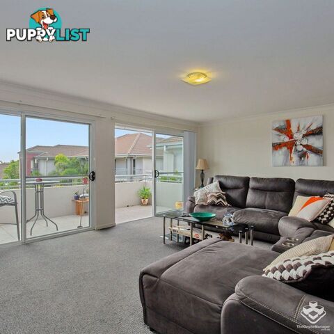 ID:21154686 33 Clark Street Biggera Waters QLD 4216