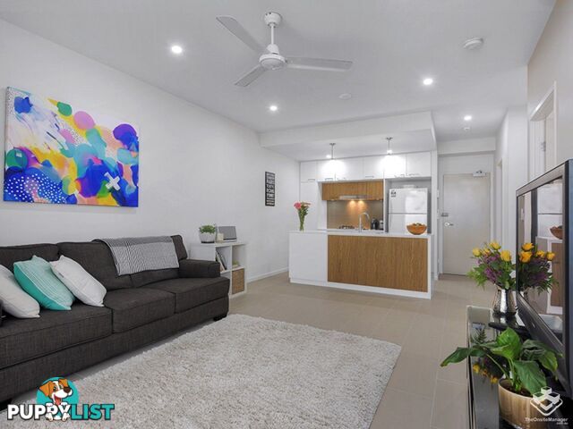 ID:21156703 166 Sydney New Farm QLD 4005