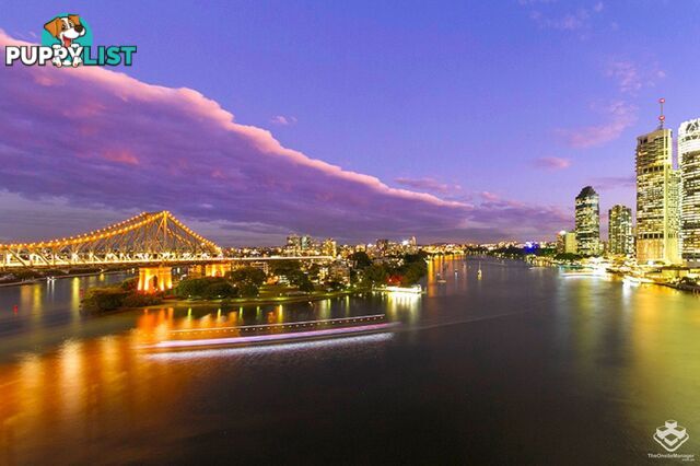 ID:21075543 32 Macrossan Street Brisbane City QLD 4000