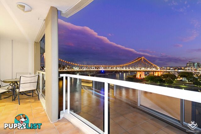 ID:21075543 32 Macrossan Street Brisbane City QLD 4000
