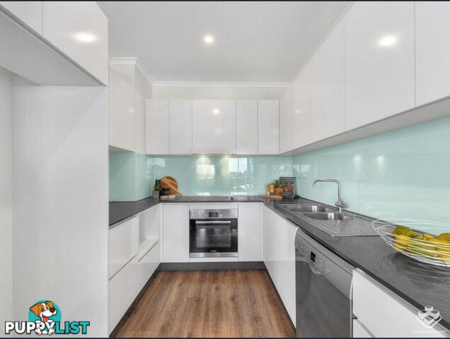 ID:21143759/986 Wynnum Road Cannon Hill QLD 4170