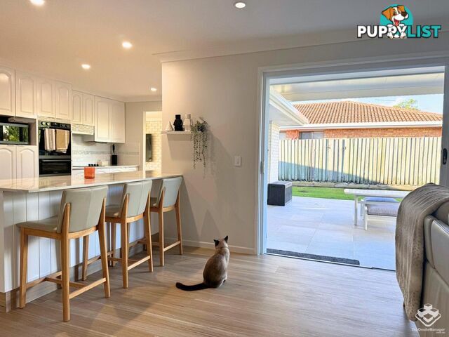 47 Jacaranda Drive Mooloolaba QLD 4557
