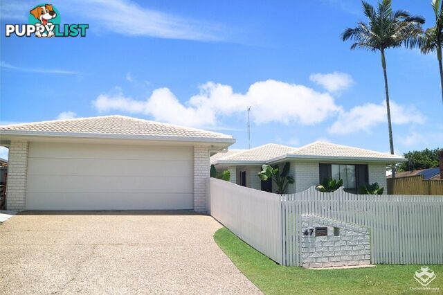 47 Jacaranda Drive Mooloolaba QLD 4557