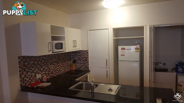 ID:3916144 119 Leichhardt Street Spring Hill QLD 4000