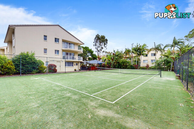 320/15 Burleigh St Burleigh Heads QLD 4220
