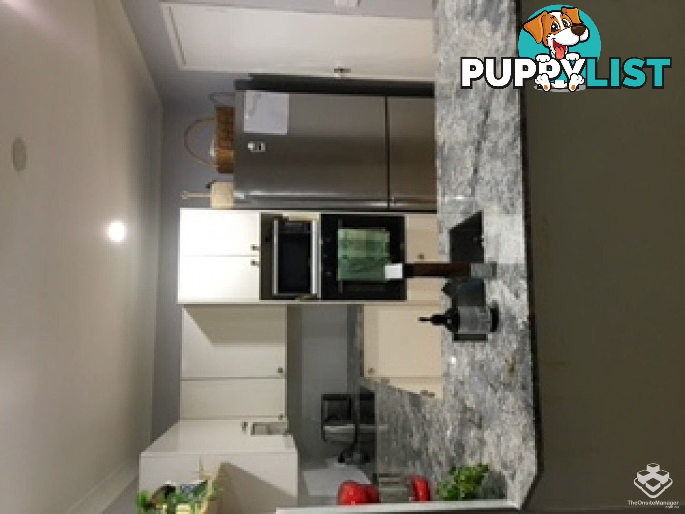 ID:21157975 1 Great Hall Drive Miami QLD 4220
