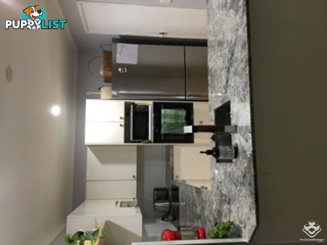 ID:21157975 1 Great Hall Drive Miami QLD 4220