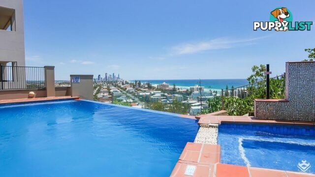 ID:21157975 1 Great Hall Drive Miami QLD 4220