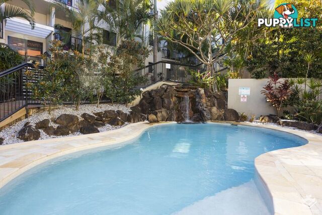 ID:21157975 1 Great Hall Drive Miami QLD 4220