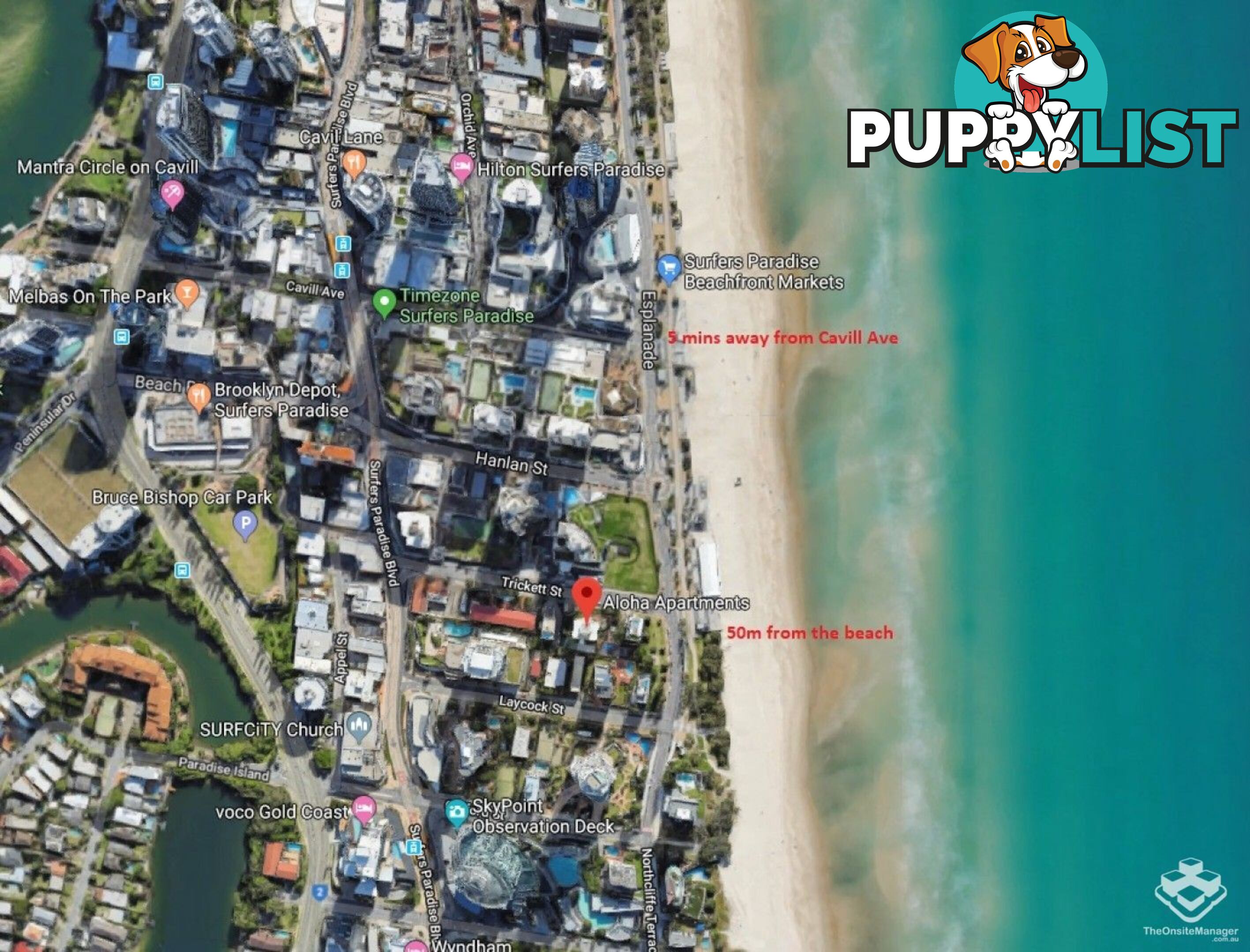 ID:21154719 8 Trickett Street Surfers Paradise QLD 4217