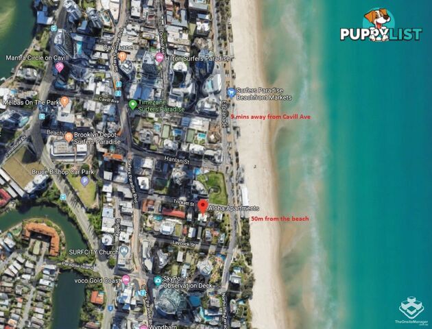 ID:21154719 8 Trickett Street Surfers Paradise QLD 4217