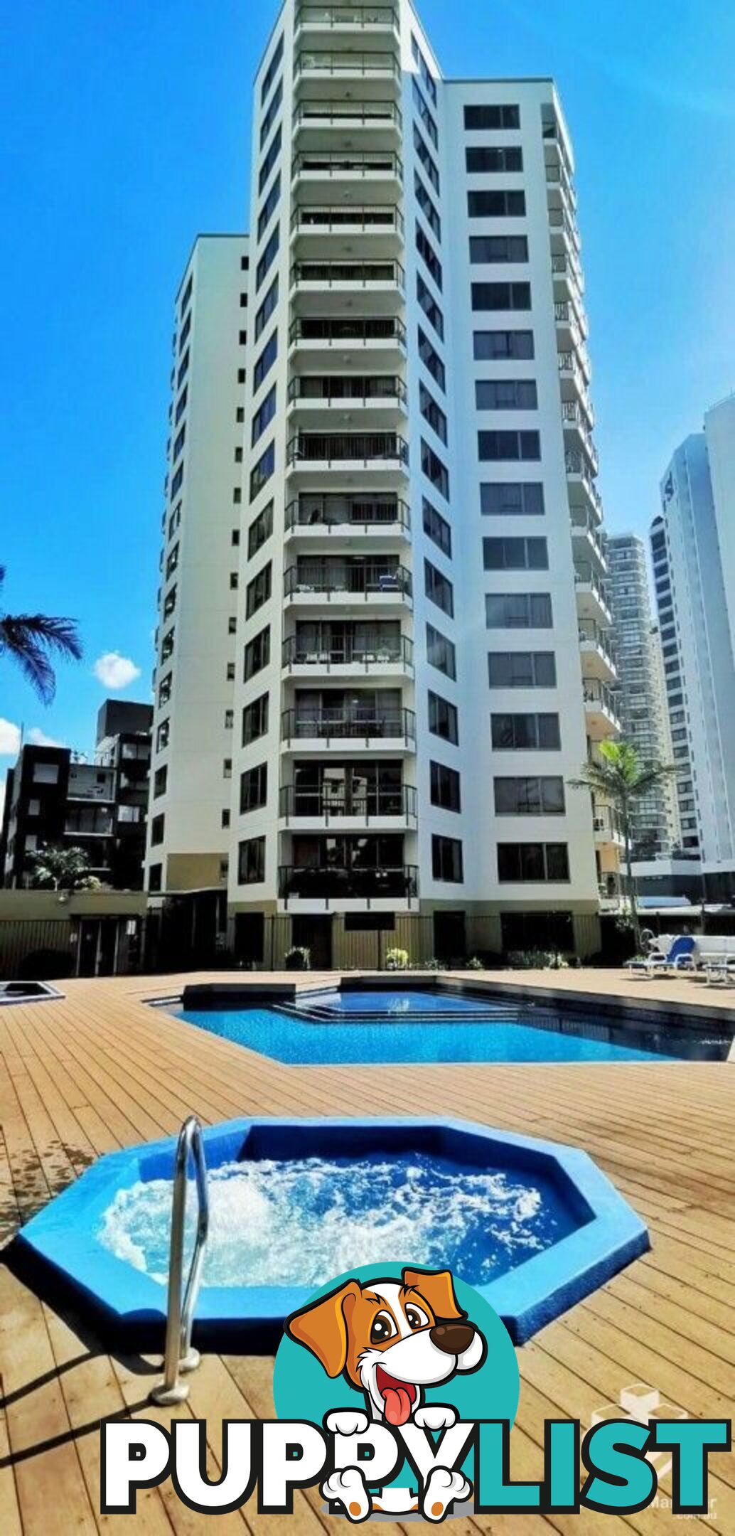 ID:21154719 8 Trickett Street Surfers Paradise QLD 4217