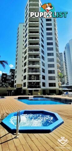 ID:21154719 8 Trickett Street Surfers Paradise QLD 4217
