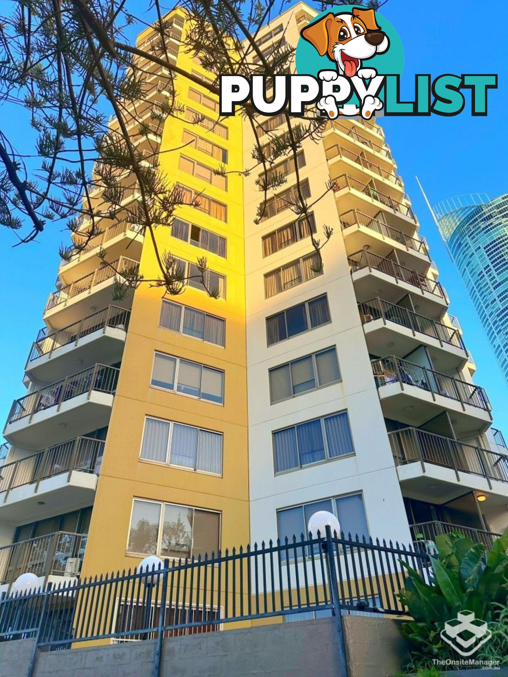 ID:21154719 8 Trickett Street Surfers Paradise QLD 4217