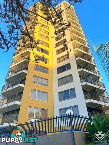 ID:21154719 8 Trickett Street Surfers Paradise QLD 4217