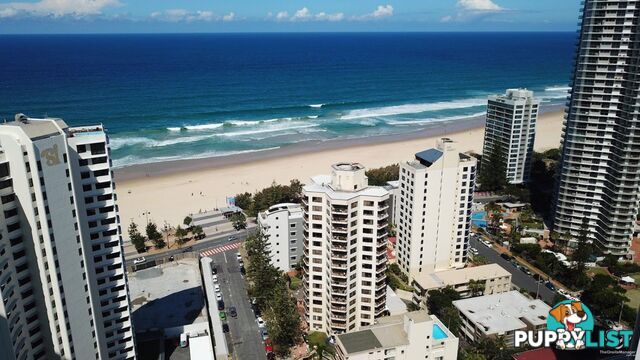 ID:21154719 8 Trickett Street Surfers Paradise QLD 4217