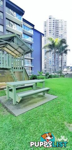 ID:21154719 8 Trickett Street Surfers Paradise QLD 4217