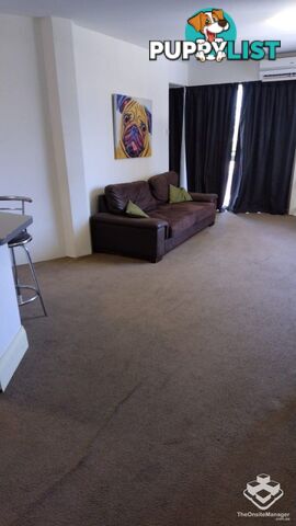 ID:21154719 8 Trickett Street Surfers Paradise QLD 4217