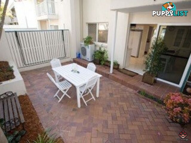 ID:3896616/7 Boyd Street Bowen Hills QLD 4006