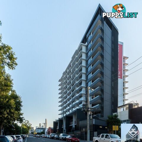 L4/42 Wyandra Street Newstead QLD 4006
