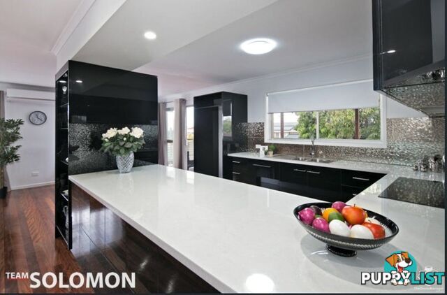 7 Dell Street Cleveland QLD 4163