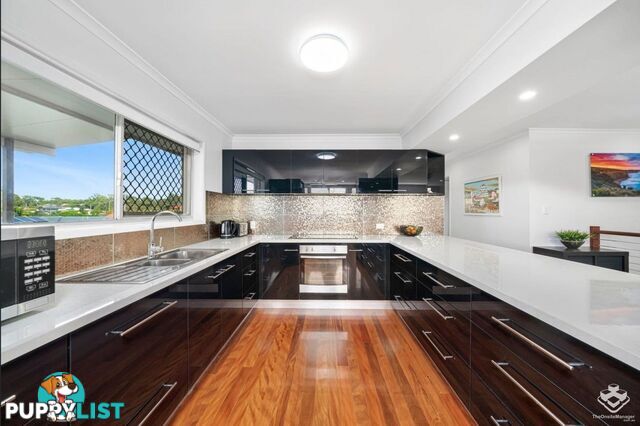 7 Dell Street Cleveland QLD 4163