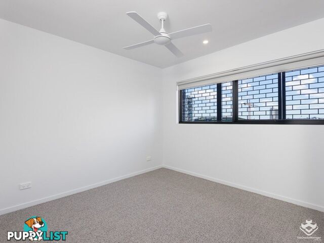 ID:21069811/ 16 Masters Street Newstead qld 4006