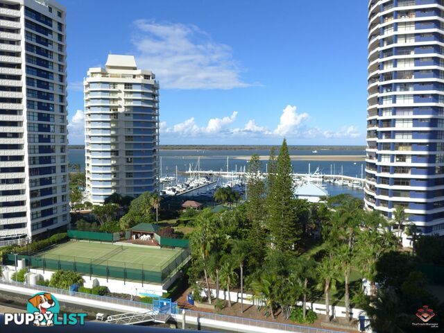 21 Bayview Street Runaway Bay QLD 4216