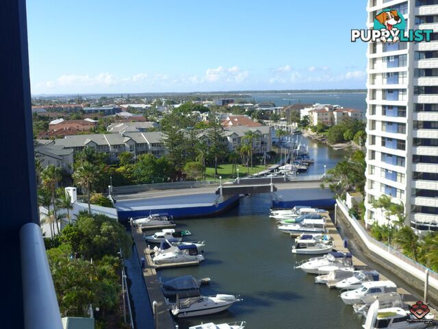 21 Bayview Street Runaway Bay QLD 4216