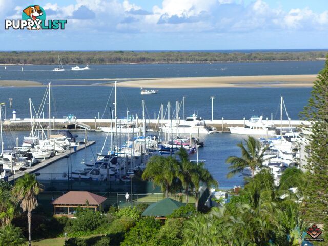 21 Bayview Street Runaway Bay QLD 4216