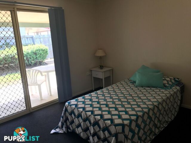 ID:3897877/1 Wellington Street Brassall qld 4305