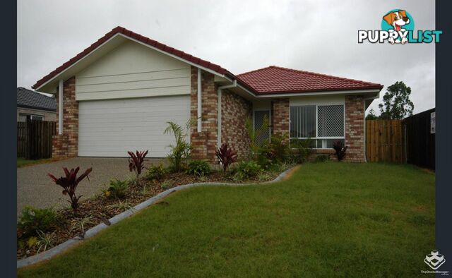 ID:21145101/55 Benjamina Drive Redbank Plains QLD 4301