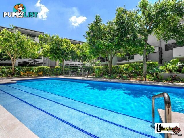 ID:3898480/71 Beeston Street Teneriffe QLD 4005