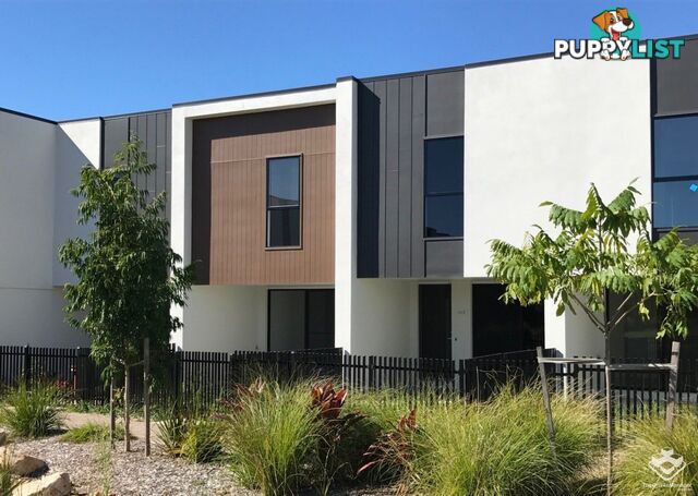 ID:21157861 25 The Corso North Lakes qld 4509